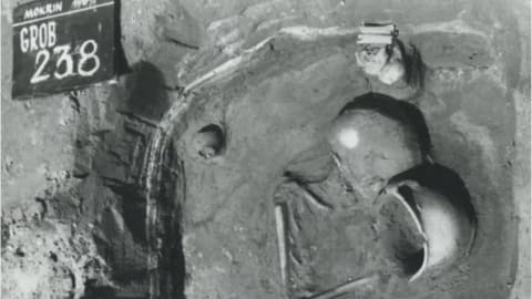 A study of 77 Bronze Age children in Serbia found sex-linked burial customs dating back 4,000 years