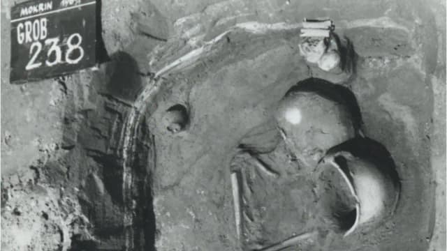 A study of 77 Bronze Age children in Serbia found sex-linked burial customs dating back 4,000 years