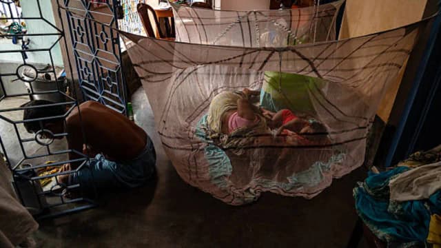 Bill Gates-backed malaria nets meant to save lives are threatening Africa’s fish stocks