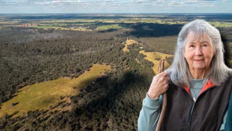 At 76, retired Australian doctor plants 45,000 native trees on 200-hectare property