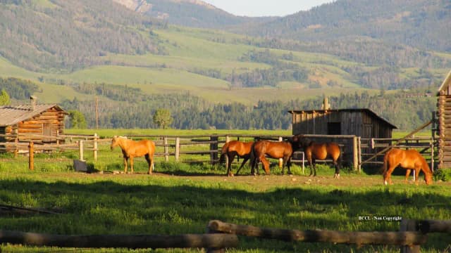 California’s Rancho Cariñoso beachfront horse ranch sells for $22.55M after $109M asking price