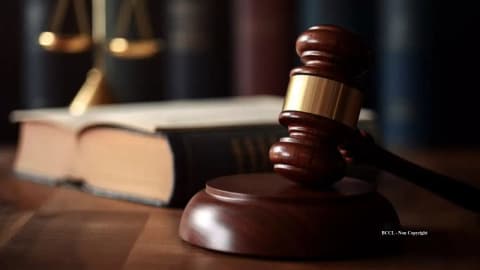 Australian court orders bamboo removal after roots block neighbour’s sewer, awards A$6,253 in damages