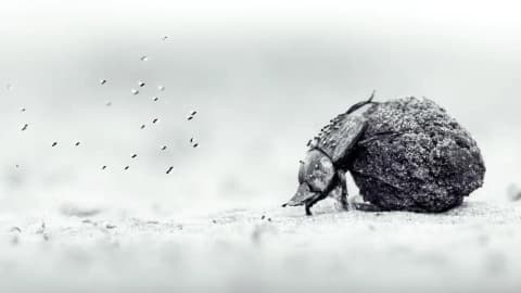 14-year-old wins Young Wildlife Photographer of the Year 2026
