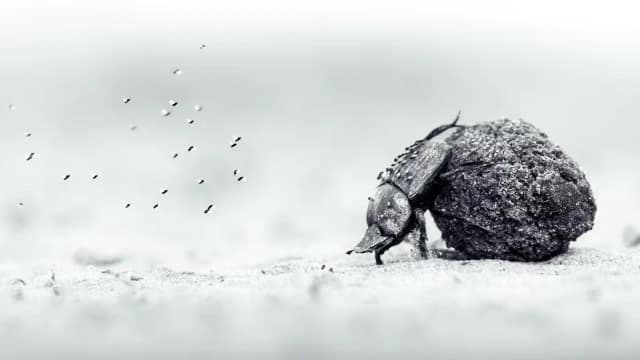 14-year-old wins Young Wildlife Photographer of the Year 2026
