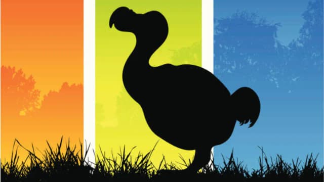 Could the dodo return? US firm maps 95% of its genome and identifies gene-editing targets