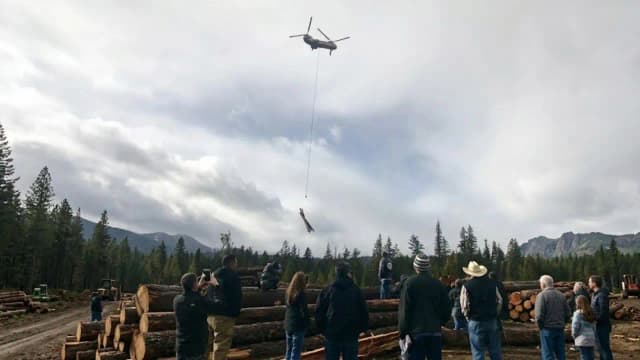 Washington uses helicopters to fly 6,000 logs into remote streams to restore salmon habitats