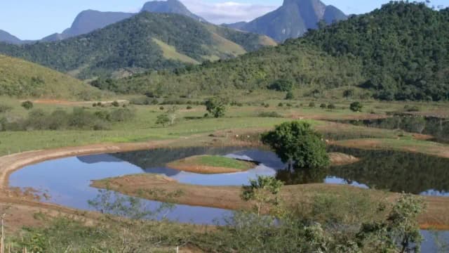 Brazil plants 840,000 trees to restore 607 hectares of Atlantic Forest
