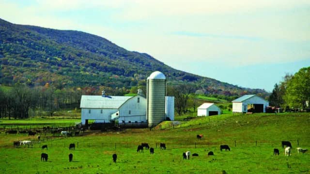 Pennsylvania court blocked a $250,000 farm sale after siblings challenged a 99-year lease deal