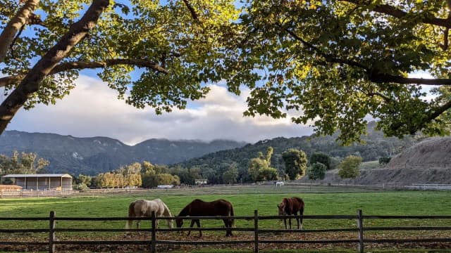 California land trust sues to block roads across a 402-acre preserve saved from housing development