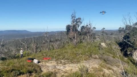 Drone LiDAR reveals three unregistered Aboriginal rock shelters in Australia's rugged Blue Mountains