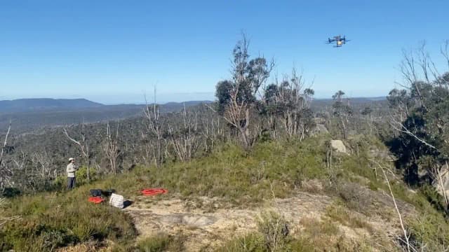 Drone LiDAR reveals three unregistered Aboriginal rock shelters in Australia's rugged Blue Mountains