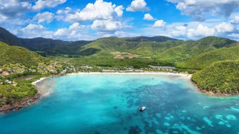 Barbados-born man, 62, faces deportation after 50 years in Britain over a past criminal conviction