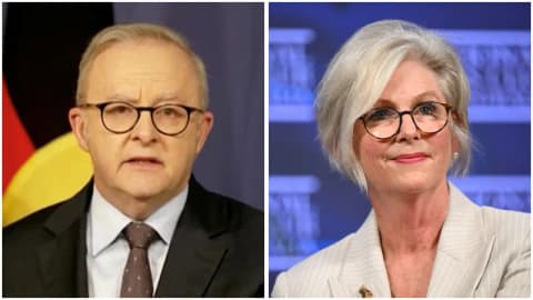 'Not accident': Australian PM says MP Helen Haines was hit in 'deliberate act'