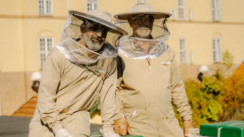 Copenhagen's ByBi grows from a rooftop project to 100 hives, producing six tonnes of honey yearly