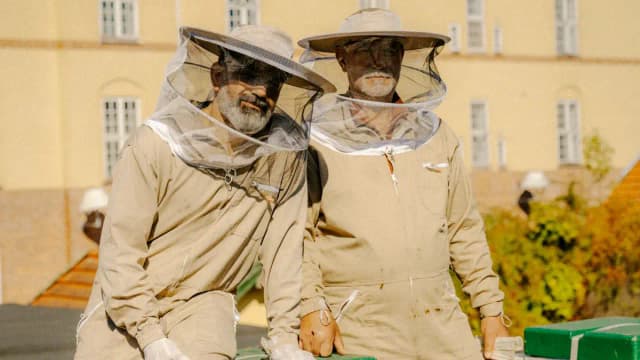 Copenhagen's ByBi grows from a rooftop project to 100 hives, producing six tonnes of honey yearly