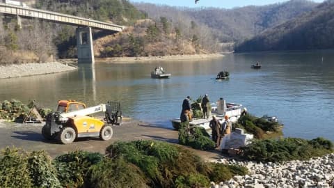 Kentucky sinks 1,700 discarded Christmas trees in a lake to create homes for fish