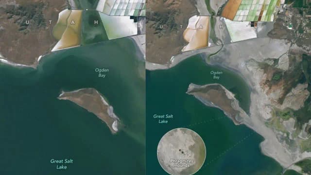 Falling water levels at Utah’s Great Salt Lake exposed mysterious circular mounds