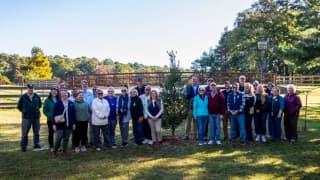 Delaware marked its state parks' 75th anniversary by planting its 75,000th tree, completing a five-year goal across 17 parks