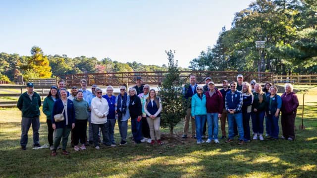 Delaware marked its state parks' 75th anniversary by planting its 75,000th tree, completing a five-year goal across 17 parks