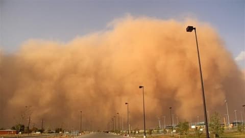 بالفيديو.. زائر غير مرحب به يدخل العراق
