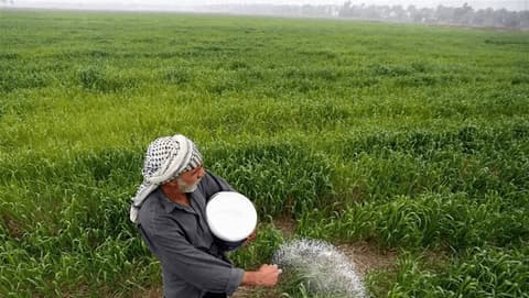 توسيع مساحة الخطة الزراعية الشتوية