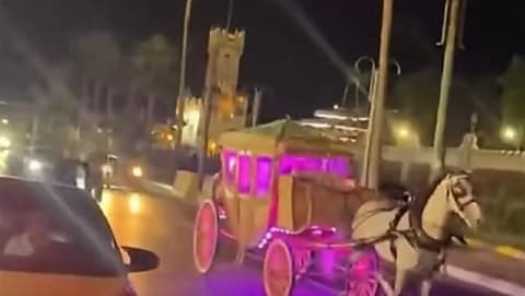 حصان يهرب بعروسين وينقلب في مشهد غير متوقع