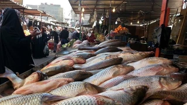 خبر يخص محبي الاسماك في العراق