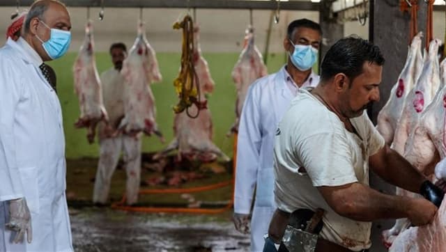 الجزر العشوائي يتراجع في بغداد.. والزراعة تكشف التفاصيل