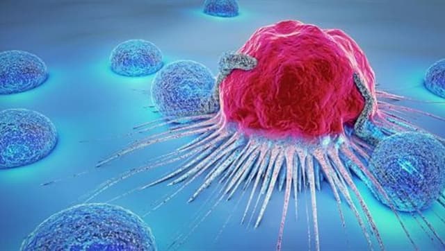 مقابل 5 آلاف دولار.. شركة تتيح تجميد الخلايا المناعية للمهتمين بإطالة العمر