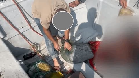 مواجهة مسلحة في المياه الإقليمية تنتهي باعتقال 3 تجار مخدرات (فيديو)