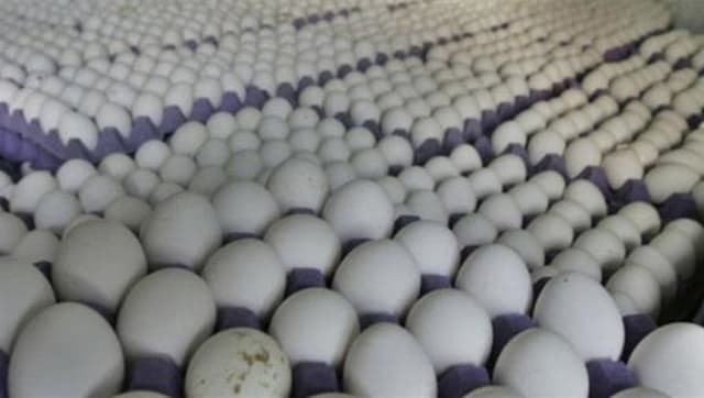 المباشرة بتصفير الرسوم الكمركية على هذه المواد