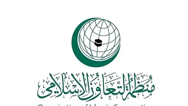 اختيار العراق نائباً لرئيس الاجتماع الثالث لأجهزة إنفاذ قوانين مكافحة الفساد بمنظمة التعاون