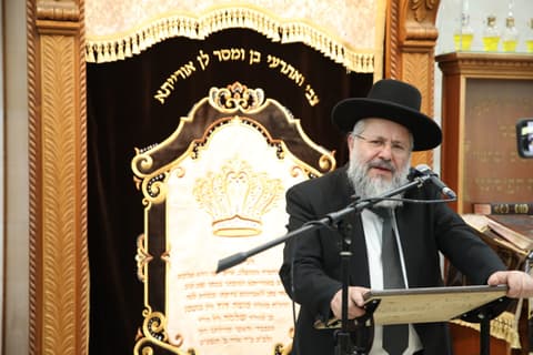 ביאור נפלא בסוד ארבעת המינים, השפע העצום שהם מורידים למי שמכוון כראוי!