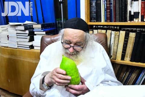 תיעוד מיוחד: אדמור"י ורבני ירושלים בבחירת אתרוג לחג