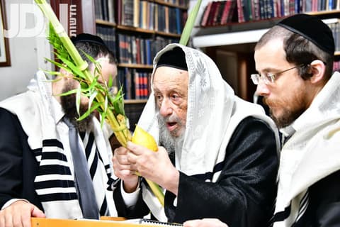 הגרב"ד פוברסקי והגרח"פ ברמן בתפילת הלל