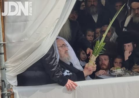 וּלְקַחְתֶּם לָכֶם • האדמו"ר מויז'ניץ בנענועים בסוכותו