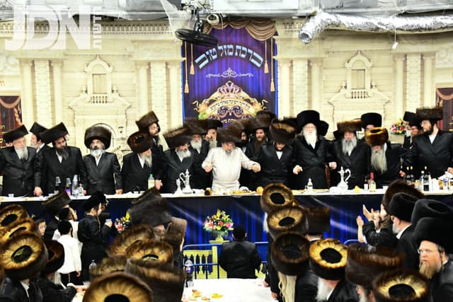 שמחת החתונה בחצרות לעלוב – מודז'יץ – אופלע – מאקאווא