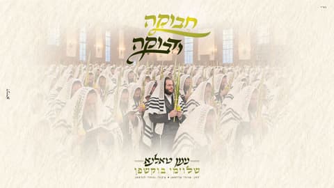 "חבוקה ודבוקה": הלחן המרגש של טאלנא בביצוע שלוימי בוקשפן