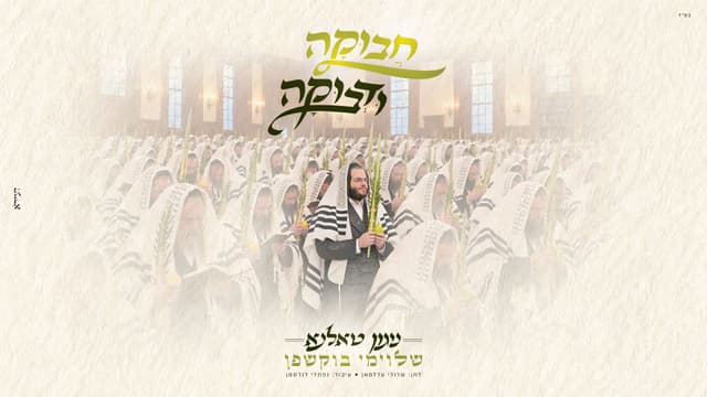 "חבוקה ודבוקה": הלחן המרגש של טאלנא בביצוע שלוימי בוקשפן