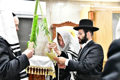 הוֹשַׁע נָא • האדמו"ר מאלכסנדר בנענועים