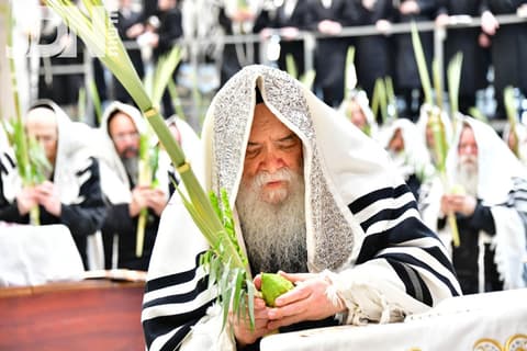 הוֹשַׁע נָא • תפילת הלל והושענות בחצה"ק דאראג