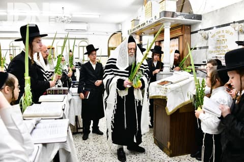 וּלְקַחְתֶּם לָכֶם • האדמו"ר ממודז'יץ בנענועים
