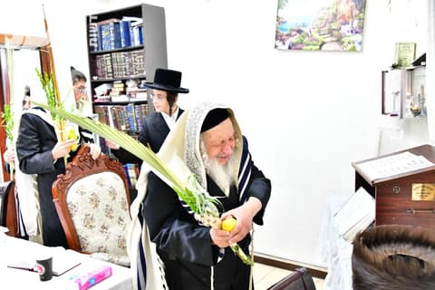 לוֹמֶדֶת יִרְאָתָךְ • האדמו"ר מנאראל בנענועים