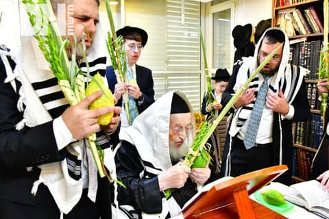 הגרמ"צ ברגמן בתפילת חול המועד • גלריה