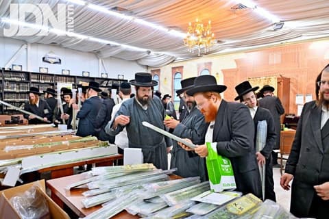 שוק ד' מינים בביהמ"ד 'חקל יצחק' ספינקא בבית שמש