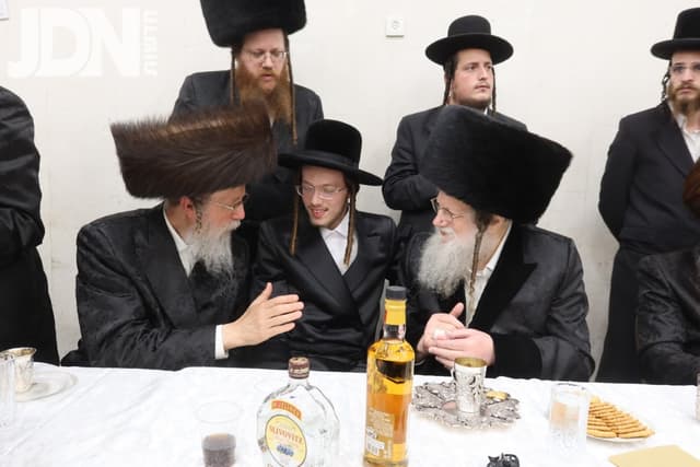 שמחת התנאים בחצרות מודז'יץ – זוועהיל – ביאלא ישרי לב