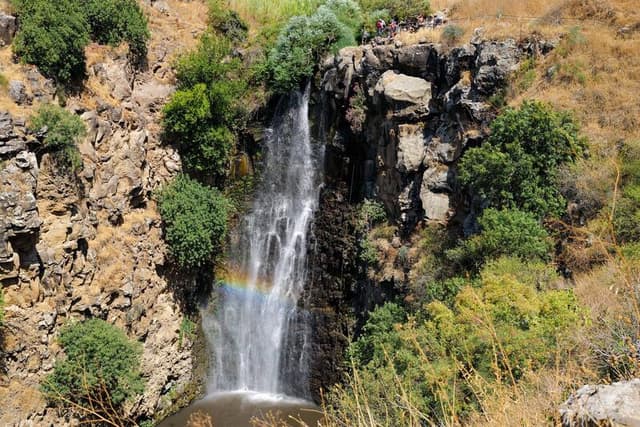 טיול בית ספר שהסתיים בחילוץ: נערה בת 14 נפצעה בגבה בנחל ג'ילבון ופונתה באלונקה