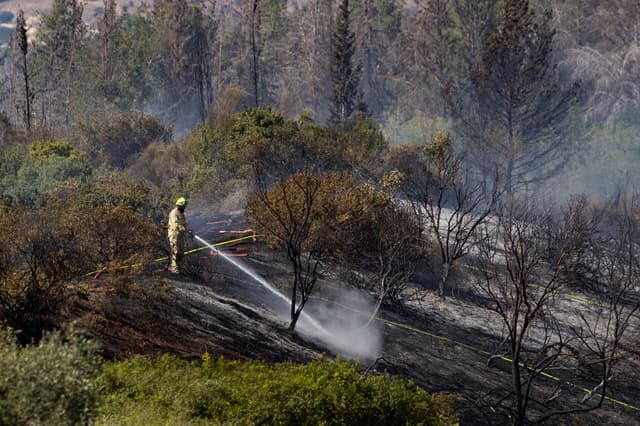בלימת התפשטות האש לקו הבתים: שריפה בשטח פתוח בשכונת עיר גנים בירושלים