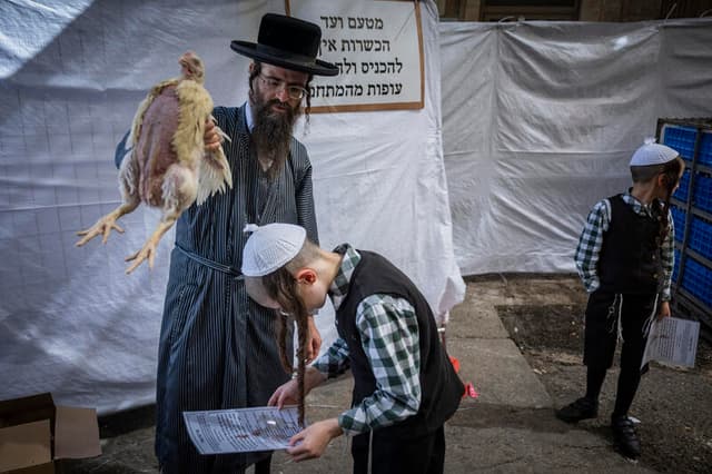 שבת שבתון: המדריך ההלכתי המקיף לקראת יום הכיפורים הבעל"ט