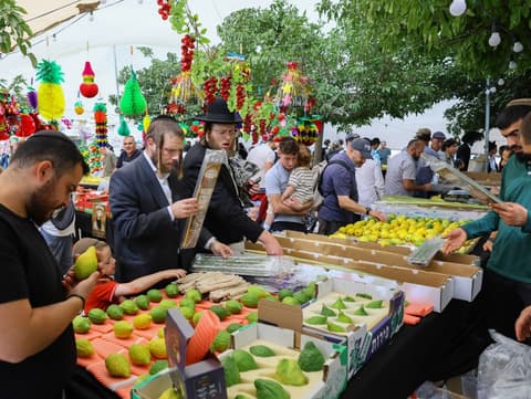 שוק ארבעת המינים המסורתי חוזר לכיכר ולרו בשוק מחנה יהודה לקראת חג הסוכות